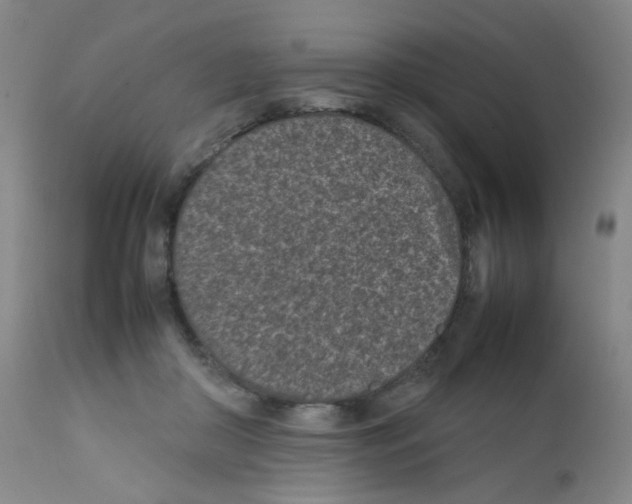 X0000111850410200909031732