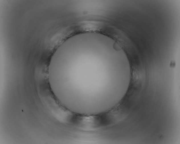 X0000111850411200909031732