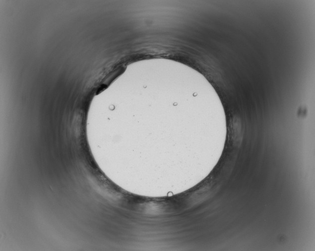 X0000111850412200909031732