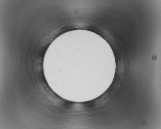 X0000111850413200909031732