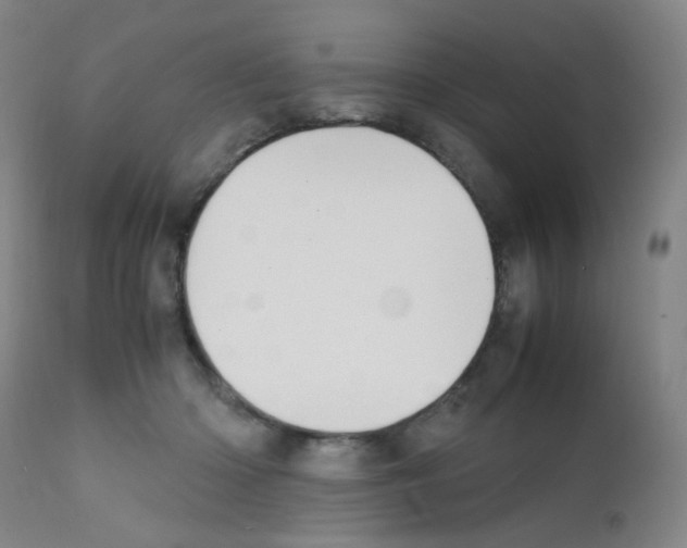 X0000111850414200909031732