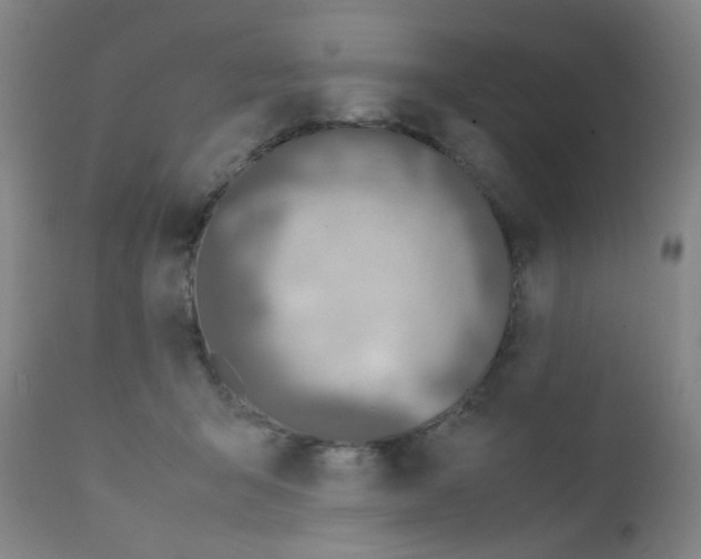 X0000111850415200909031732