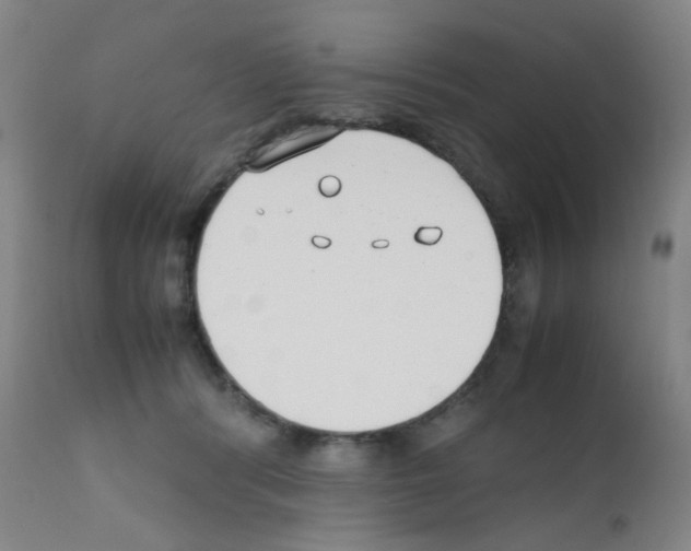 X0000111850416200909031732