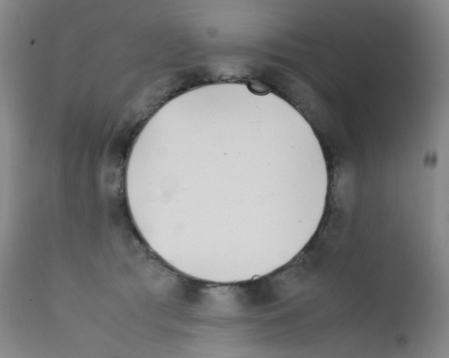 X0000111850417200909031732