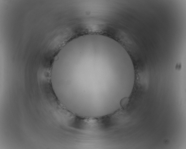 X0000111850419200909031732