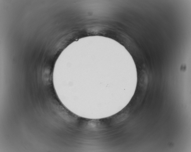 X0000111850420200909031732