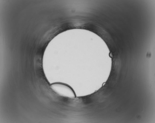 X0000111850421200909031732