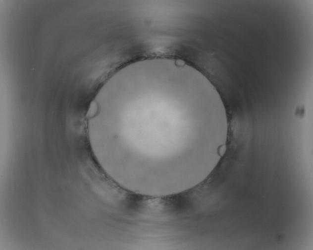 X0000111850423200909031732