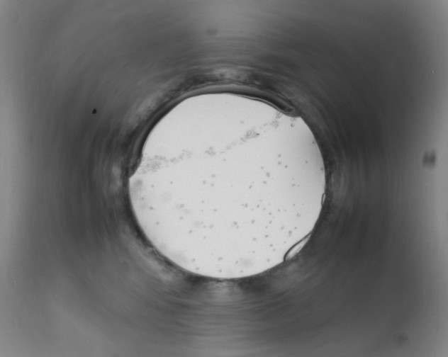 X0000111850424200909031732