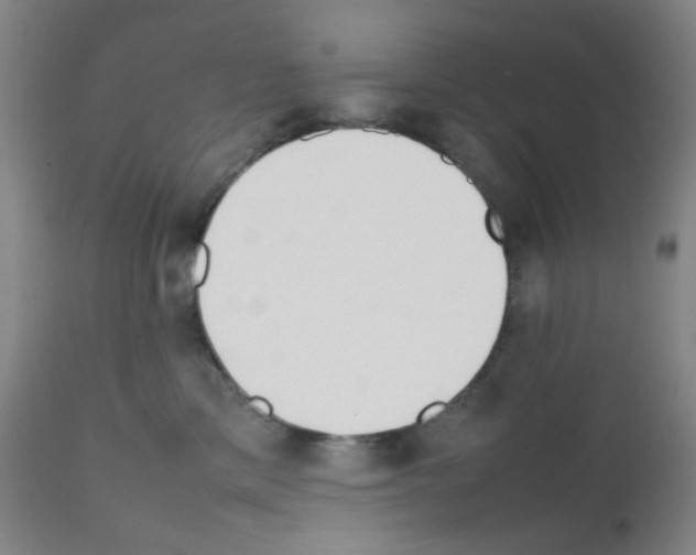 X0000111850425200909031732