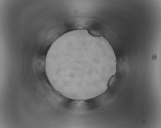 X0000111850427200909031732