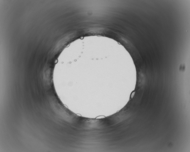 X0000111850428200909031732