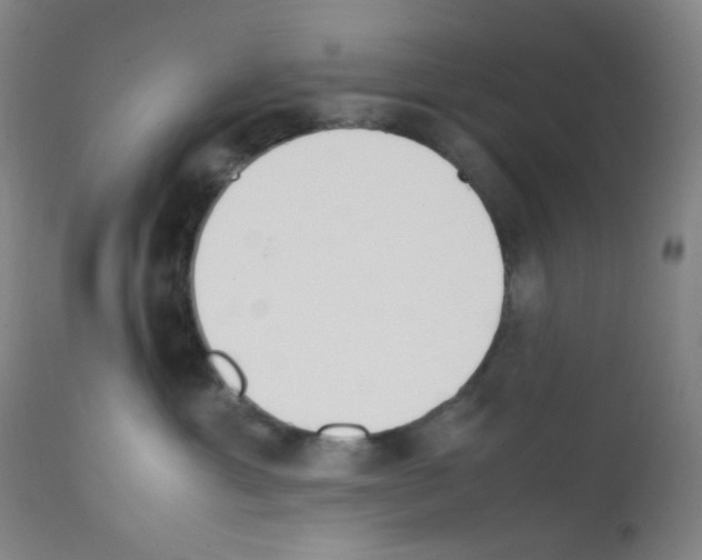 X0000111850429200909031732