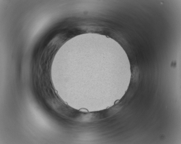 X0000111850430200909031732