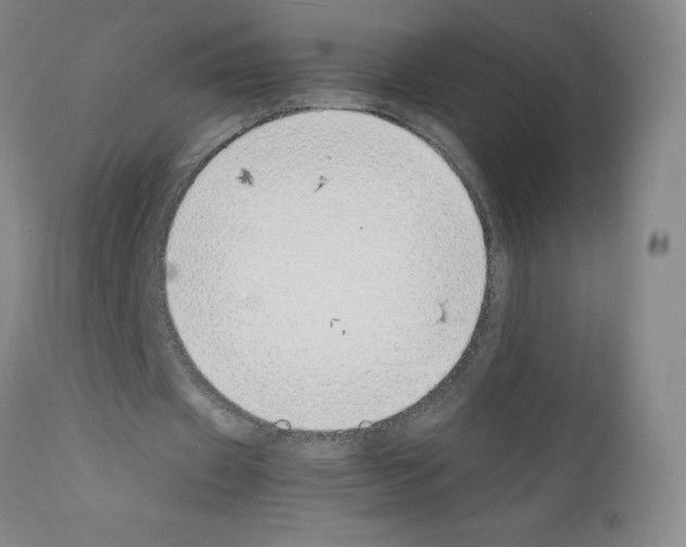 X0000111850433200909031731