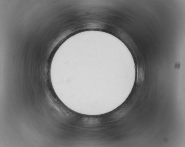 X0000111850435200909031731