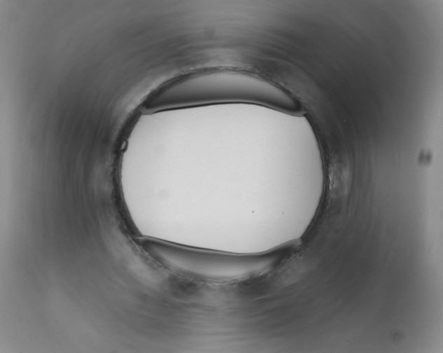 X0000111850436200909031731