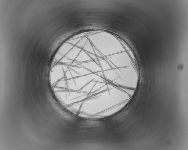X0000111850437200909031731