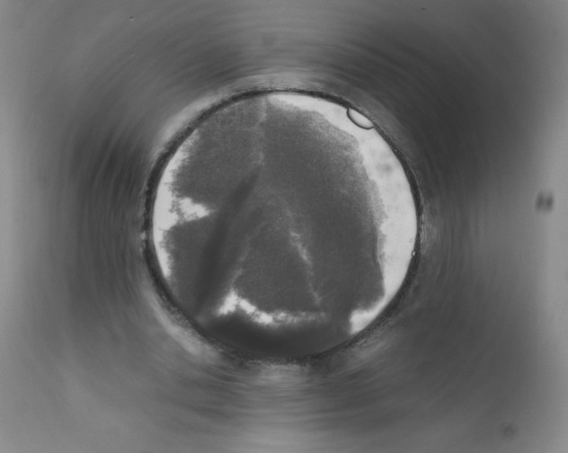 X0000111850438200909031731