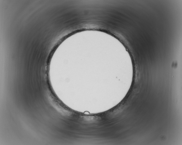 X0000111850439200909031731