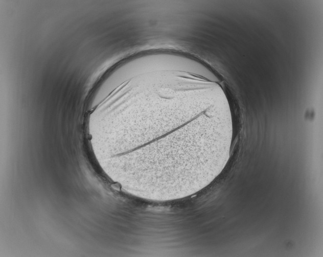 X0000111850440200909031731