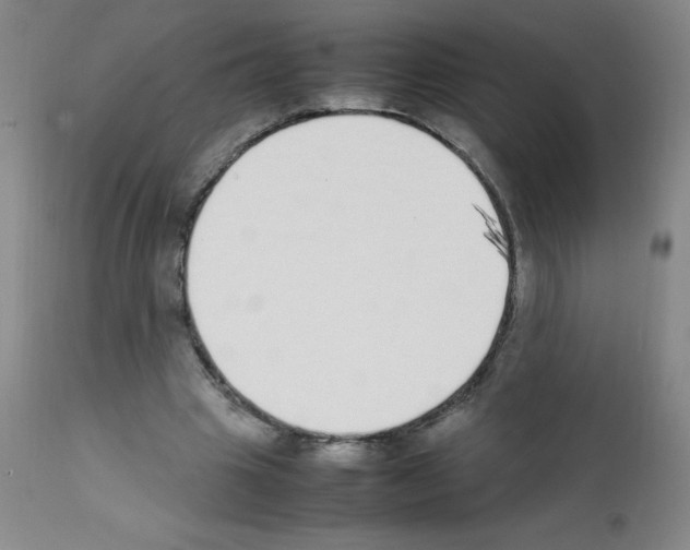 X0000111850441200909031731
