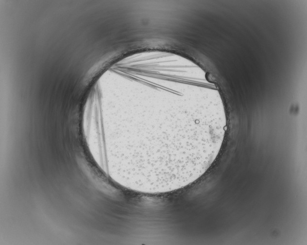 X0000111850442200909031731