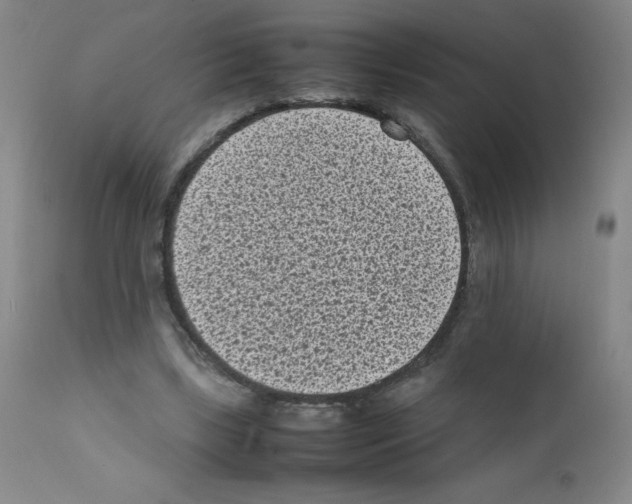 X0000111850443200909031731