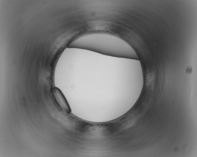 X0000111850444200909031731