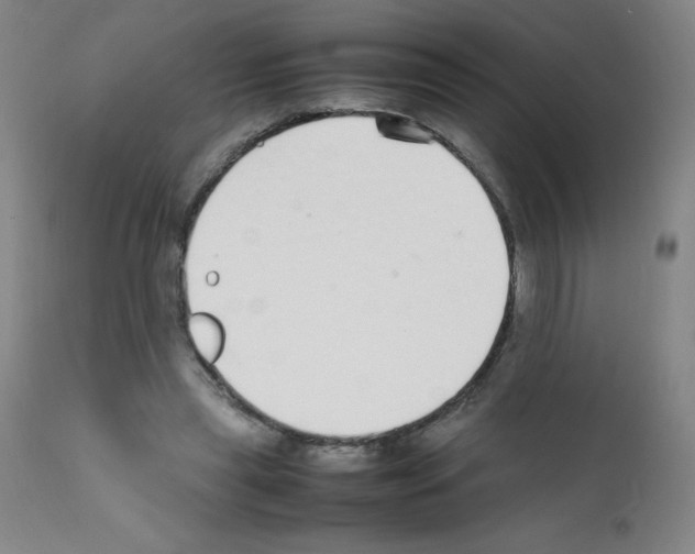 X0000111850445200909031731