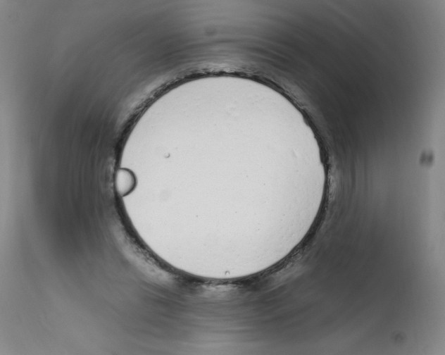 X0000111850446200909031731