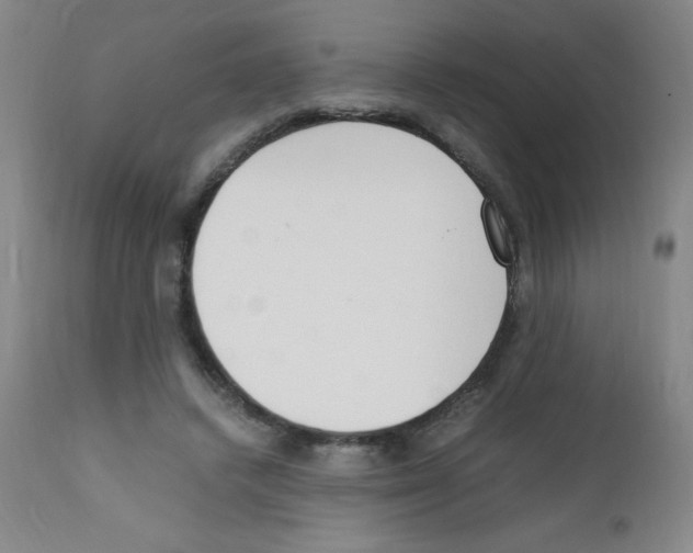 X0000111850448200909031731