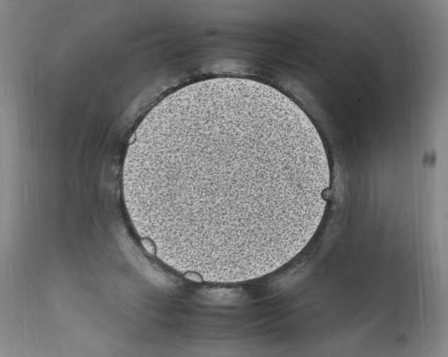 X0000111850449200909031731