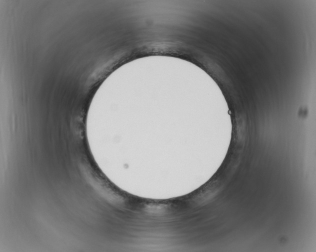 X0000111850450200909031731