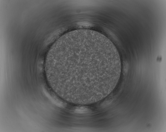 X0000111850451200909031731
