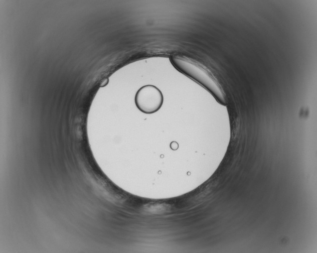 X0000111850452200909031731