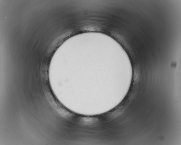 X0000111850453200909031731