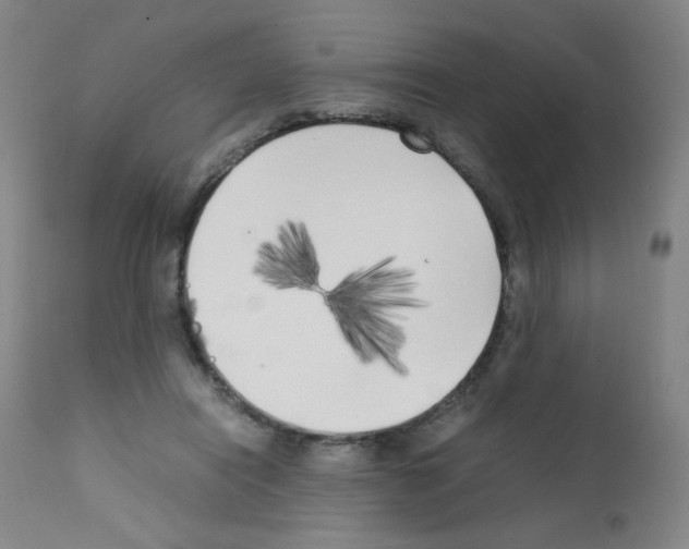 X0000111850454200909031731