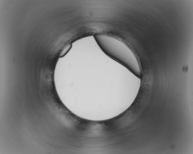 X0000111850456200909031731