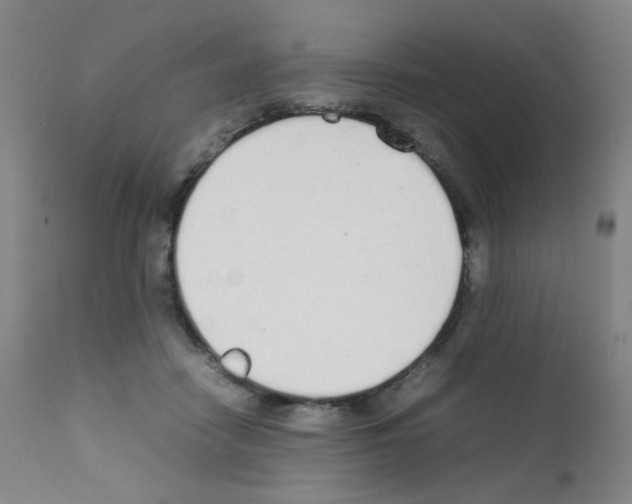 X0000111850458200909031731