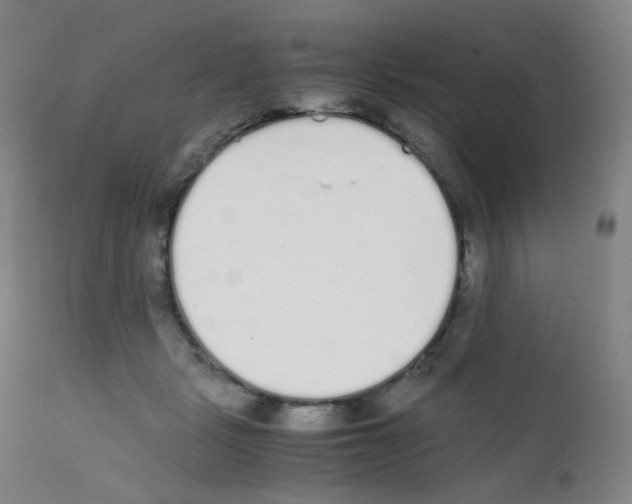 X0000111850461200909031731
