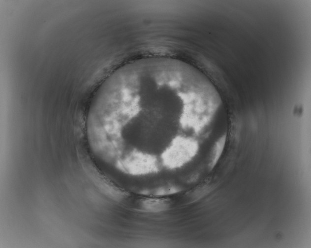 X0000111850465200909031731