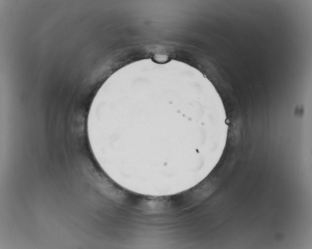 X0000111850466200909031731
