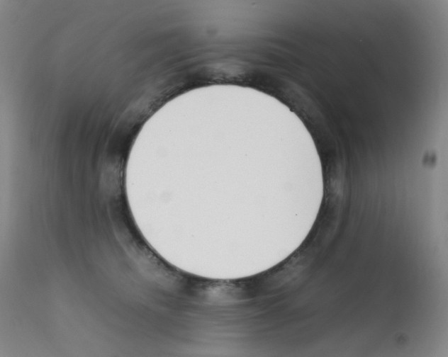 X0000111850468200909031731
