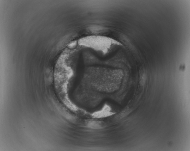 X0000111850471200909031731