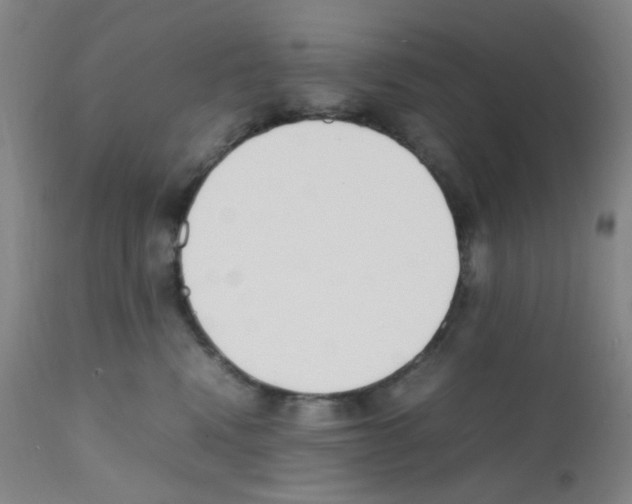X0000111850472200909031731
