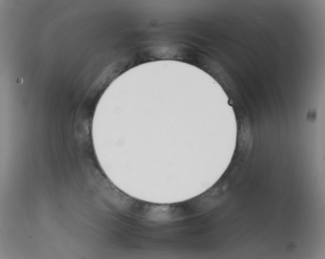X0000111850473200909031731