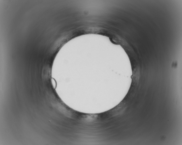 X0000111850474200909031731