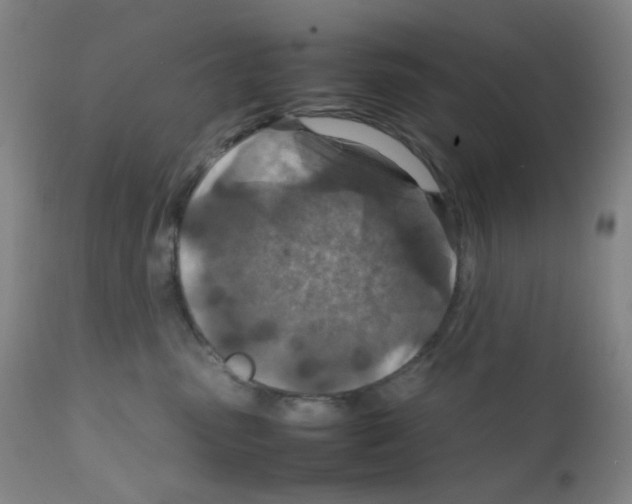 X0000111850475200909031731