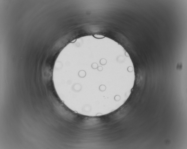 X0000111850476200909031731